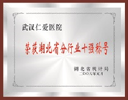 湖北省行业十强称号